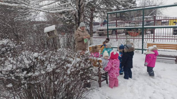 «Зимние чудеса». Группа "Сказка" «Зимние чудеса». Группа "Сказка".